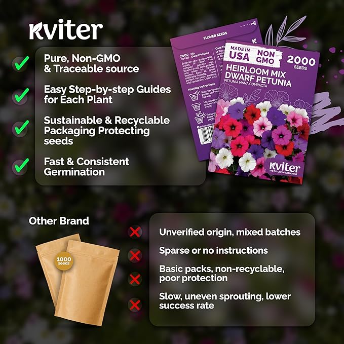 KVITER 2,000 Mix Dwarf Petunia Seeds for Planting Flowers (Nana Compacta) — Mini Petunia Flower Seeds, Annual, Organic & Non GMO — Beds, Hanging Baskets, Containers, Outdoor & Indoor Garden