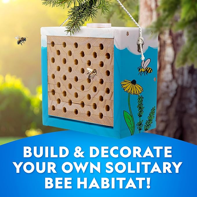 National Geographic Build a Bee Habitat Craft Kit for Kids – Paint & Build a House for Mason Bees, Outdoor Arts & Crafts, Nature Learning Activity, DIY Pollinator Garden Craft, Solitary Bee Hotel