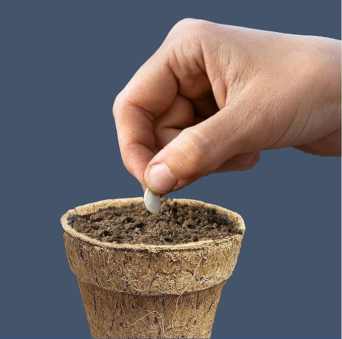 Deepthi 3-Inch Coco Coir Nursery Pots – Pack of 6 Biodegradable Seed Starter Cups – Organic Coir Peat Pots for Seedlings, Herbs, Indoor/Outdoor Gardening – Eco-Friendly Planting Pots