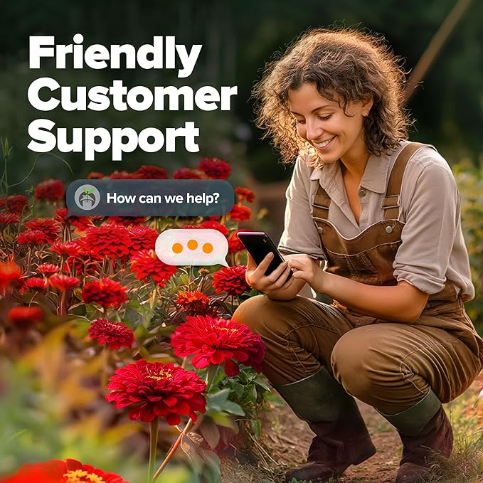 HOME GROWN Will Rogers Zinnia Seeds - 300 Zinnia Flower Seeds for Planting Outdoors - Tall Zinnia Elegans Cut Flowers - Heirloom Non-GMO Zinnia Seeds for 2026