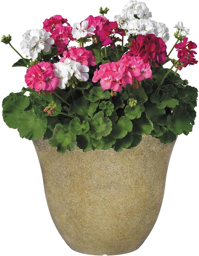 Classic Home and Garden Honeysuckle Resin Flower Pot Planter, Fossil Stone, 15" (Pack of 2)
