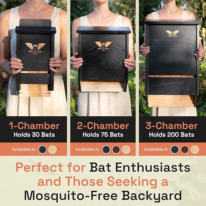 BIGBATBOX Wooden Large Bat House for Outdoors - 2 Chamber, Brown, Fits Up to 75 - Proven Backyard Bat Box Kit Design for Attraction
