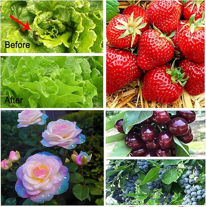 Garden Netting, 10x50 FT Ultra Fine Mesh Netting Pest Barrier Protection Bird Net Plants Cover for Vegetables Fruits Flowers Crops Greenhouse Row Cover Raised Bed Garden Patio Mesh Netting (1 Pack)