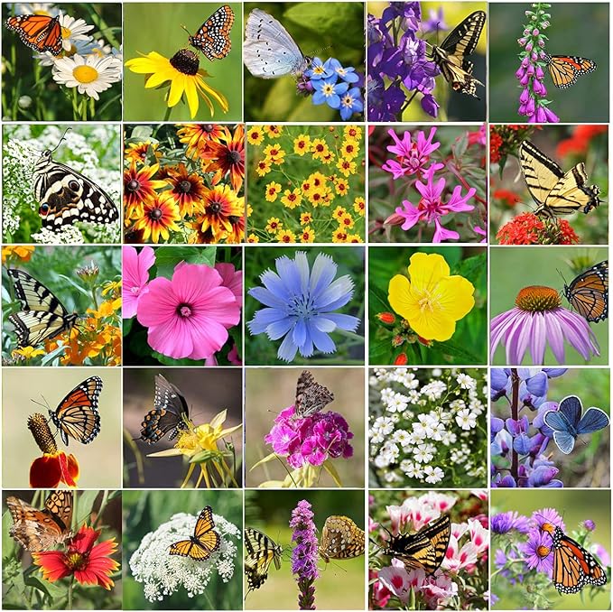 Perennial Wildflower Seeds Package with 25 Different Varieties 100,000 Seeds, Hummingbird and Butterfly Garden, Popular Perennial Flower, Non-GMO Wildflower Mix for Your Garden