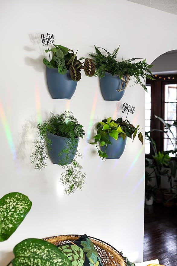 The HC Companies 8 Inch Garden Wall Planter - Plastic Hanging Plant Pot for Indoor Outdoor Flowers, Herbs, White