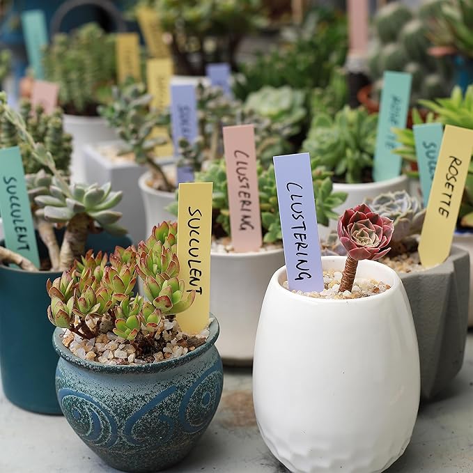 Mr. Pen- Plastic Plant Labels, 100 Pcs, 4", Pastel Colors Plant Markers, Tags, Garden Labels, Waterproof Markers for Outdoor Garden, Planting Sticks for Seeds