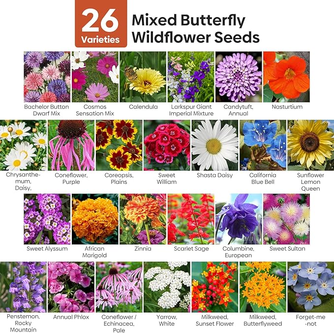 All Perennial Wildflower Seeds Bulk, 1/4 lb, 100,000+ Seeds, 26 Variety Mix with Milkweek, California Blue Bell, Attracts Pollinators, Plant in Spring or Fall, Zones 3, 4, 5, 6, 7, 8, 9, 10