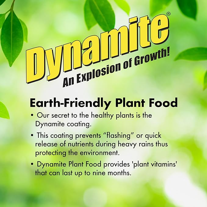 Dynamite Mater Magic - Organic Tomato Fertilizer for Bigger, Juicier Tomatoes and Vegetables, OMRI Listed, Nitrogen and Calcium-Rich Plant Food - .675 Pound Container with Shaker Lid