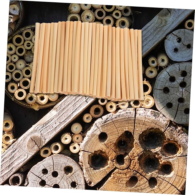 YARNOW 100pcs Natural Reed Bee Tubes for Beekeepers Refill Tube Props for Mason Bee Houses Essential Beekeeping Tools for Pollinator Gardens