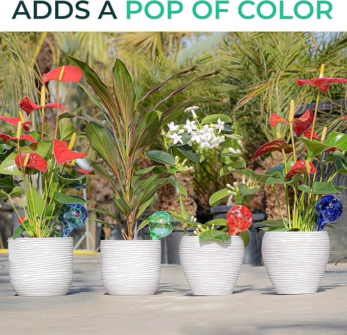 Reifier 6-Pack Plant Watering Globes - Self Watering Bulbs for Indoor & Outdoor Plants - Hand-Blown & Colorful Water Globes - Aqua Globes for Plants - Measures 6" L x 2.5" D