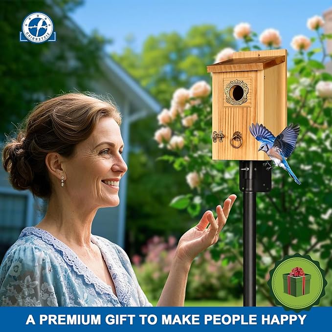 Premium Pack of 2 Bluebird Houses for Outside, Garden Bird Houses for Outdoor, Vintage Metal Predator Guard, Birdhouse Gift, Weatherproof Coating Bird Nesting, Assembly Required