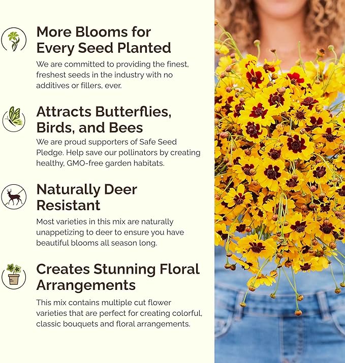 Eden Brothers Southwest Wildflower Mixed Seeds for Planting, 10 lb, 4,800,000+ Seeds with Cornflower, Blanket Flower | Attracts Pollinators, Plant in Spring or Fall, Zones 3, 4, 5, 6, 7, 8, 9, 10