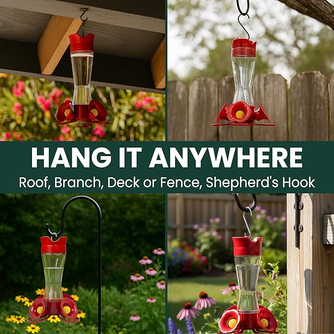 Perky-Pet 203CPBN Glass Hummingbird Feeder for Outdoors with Perches, Ant Moat, Bee Guards - Pack of 1
