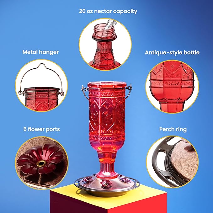 More Birds Red Jewel Hummingbird Feeder, Glass Bottle, 5 Feeding Ports and 20-Ounce Nectar Capacity (76IN)