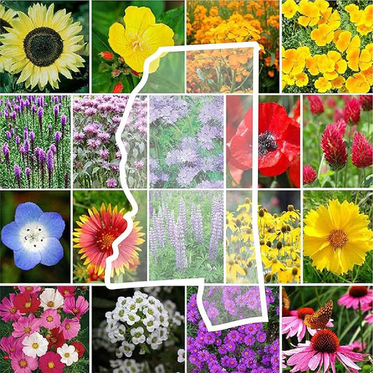 Eden Brothers Mississippi Wildflower Mixed Seeds for Planting, 1/4 lb, 120,000+ Seeds with Lupine, Sunflower | Attracts Pollinators, Plant in Spring or Fall, Zones