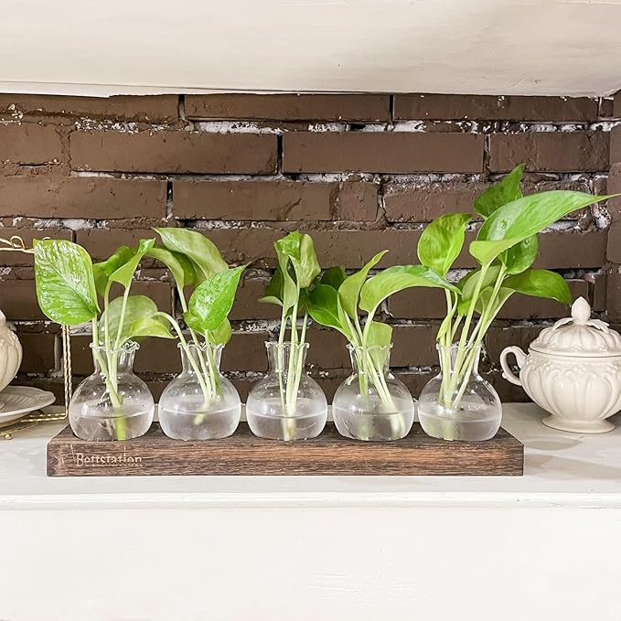 Plant Propagation Station, Plants Terrarium with Wooden Stand 5 Bulb Houseplants Glass Vase for Hydroponic Plants Gift for Plant Lovers Home Office Decor