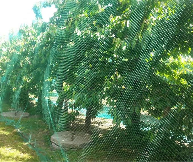 CandyHome 13Ft x 33Ft Anti Bird Protection Mesh Garden Netting Seedlings Plants Flowers Fruit Trees Vegetables from Rodents Deer Reusable Fencing, Green