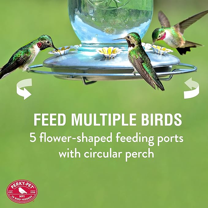 Perky-Pet Mason Jar Vintage Style Glass Hummingbird Feeder 785-1SR - Humming Bird Feeders for Outdoor Garden Decor - 32 Oz Nectar Capacity