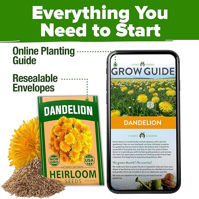 HOME GROWN Flower Seeds Giant (Dandelion, 1-Pack)