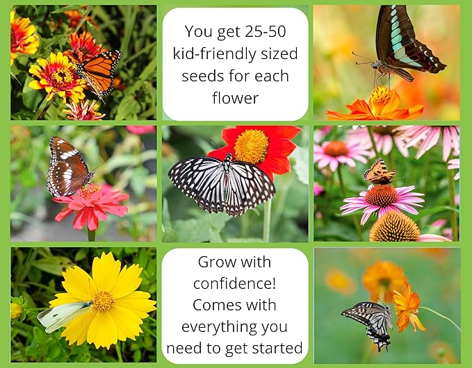 Butterfly Garden Flower Seed Starter Kit - Grow 6 Types of Wildflower Seeds Including Milkweed, Coreopsis, Cosmos, Echinacea, Gaillardia and Zinnia Seeds
