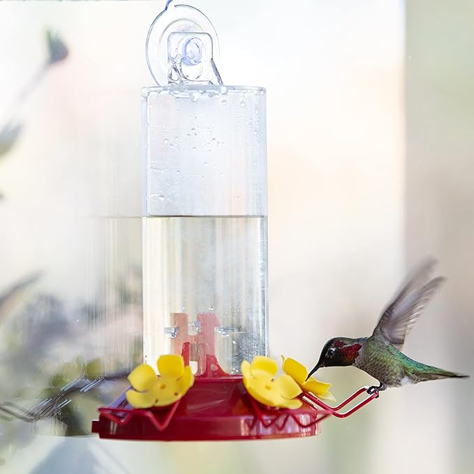 Perky-Pet Plastic Window Mount Hummingbird Feeder with Perches - 8 oz Hummingbird Nectar Capacity, 217 - Hummingbird feeders for outdoors