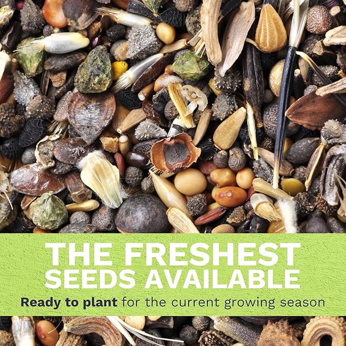 Midwest Regional Mix - Bulk 1/4 Pound Pouch - 60,000 Flower Seeds for Planting - Wildflower Mix