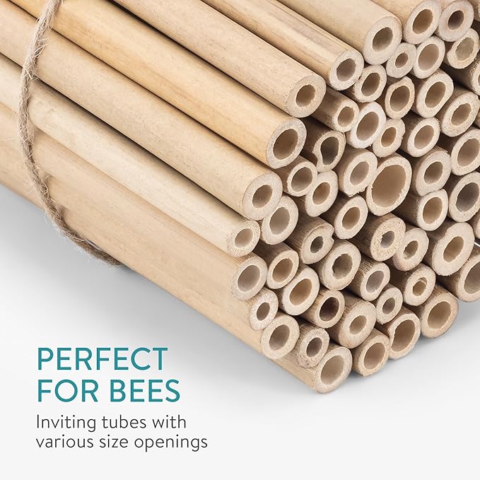 Navaris Bamboo Bee Nesting Tubes (Pack of 60) - 15 cm (5.9 in) Long Tube for Mason Solitary Bees - for Filling Insect Hotels and Bug Houses