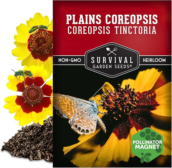 Survival Garden Seeds - Plains Coreopsis Seeds for Planting | Native Wildflower Coreopsis Tinctoria | Pollinator Support | Calliopsis - 1 Pack