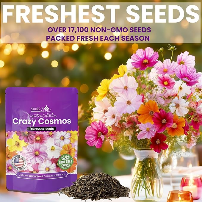NatureZ Edge, Crazy Cosmos Seeds for 2026, 17,100 Cosmos Seed, 1/4 lb, Made In USA, Annual Cut Flowers, Wildflower Seeds Bulk for Planting Flowers, Wild Flowers Seed Throw and Grow, semillas de flores