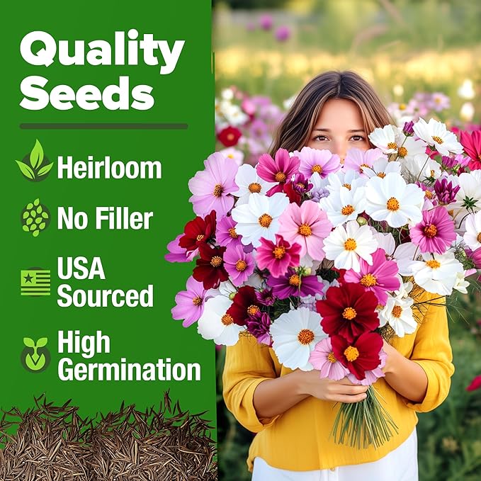 HOME GROWN Cosmos Flower Seeds Bulk Pack for 2026 (1.8 oz) 8,000+ Heirloom Annual Wildflower Seeds Pollinator-Friendly Mix for Pollinators & Outdoor Gardens (Cosmos bipinnatus)