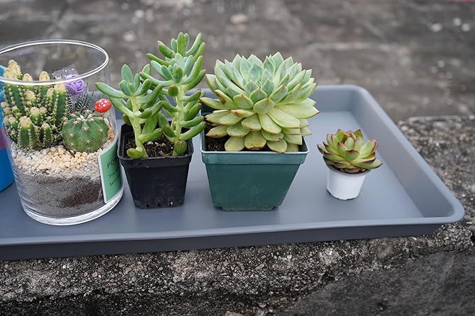 4 Pack Plant Saucer Tray Rectangular, Plant Saucers for Indoors, Heavy Sturdy Plastic Plant Drainage Trays, Plant Drip Trays for Pots, Seed Starter Growing Tray (11 x 9 inch, Gray)
