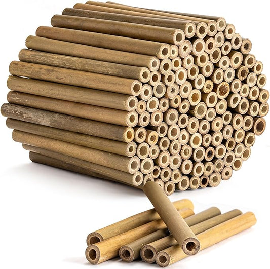 Rivajam 125 Bamboo Sticks for Crafts Supplies | Bamboo Craft Sticks & Mason Bee Tubes for Mason Bee House | Bamboo Reed Mason Bee Straws for Solitary Bee Box, Bee Hotel & Pollinator Gardens