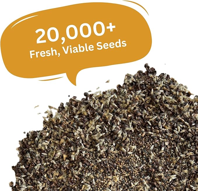 Drought Tolerant Wildflower Mix – 20,000+ Seeds – 1 oz Bulk Extra Large Resealable Packet – Non-GMO Flower Seeds for Dry Climates – Black-Eyed Susan, Coreopsis, California Poppy & More