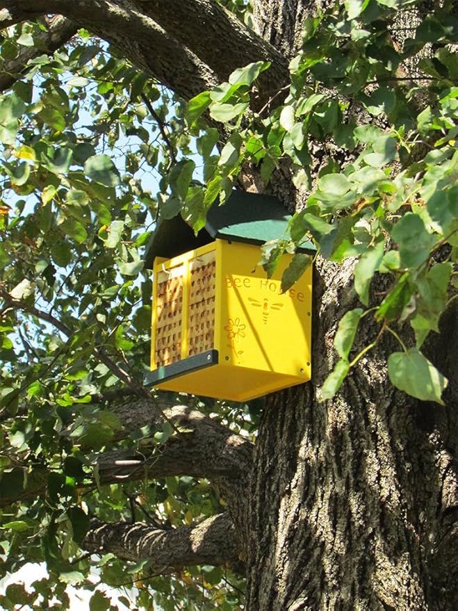 JCs Wildlife Double-Wide Large Poly Lumber and Pine Mason Bee House - Attracts Bee Pollinators in Your Garden - Handmade in The USA