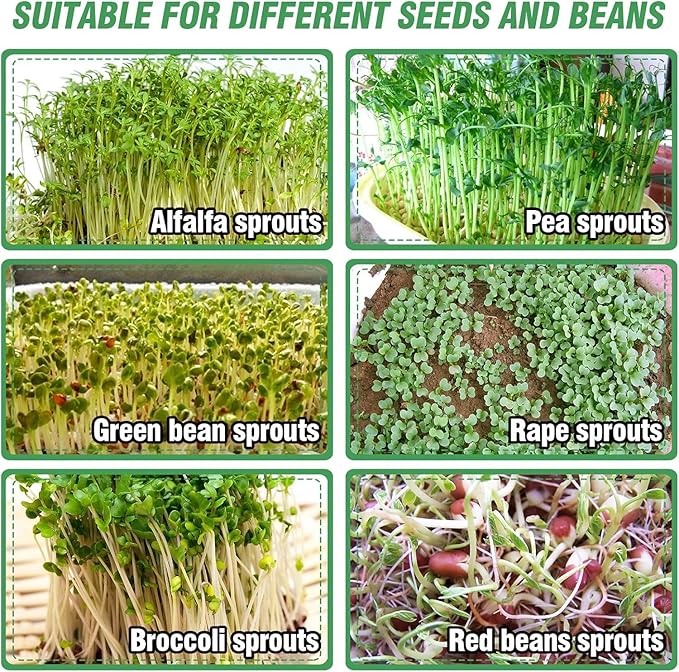 Stainless Steel Seed Sprouting Kit - 4-tier Microgreens Growing Tray 6in Dia, Stackable Round Seed Sprouter Maker with Encrypted Mesh, Sprouts Grower for Beans Broccoli Alfalfa Seeds Wheat Grass