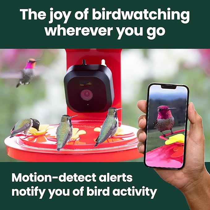 Perky-Pet Smart Bird Feeder with Camera for Hummingbirds - 20 oz Nectar Capacity, Motion Activated 1080p HD, WIi Fi, Camera Feeder Gift Idea