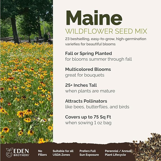 Eden Brothers Maine Wildflower Mixed Seeds for Planting, 1 oz, 30,000+ Seeds with Lupine, Cornflower | Attracts Pollinators, Plant in Spring or Fall, Zones