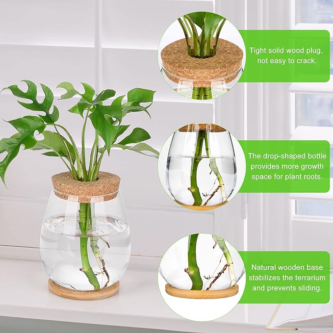 2 Pcs Propagation Vases, Tabletop Plant Terrarium for Propagating Hydroponic, Glass Terrarium Vase Jars, Home Kitchen Decorations and Gifts for Plant Lovers
