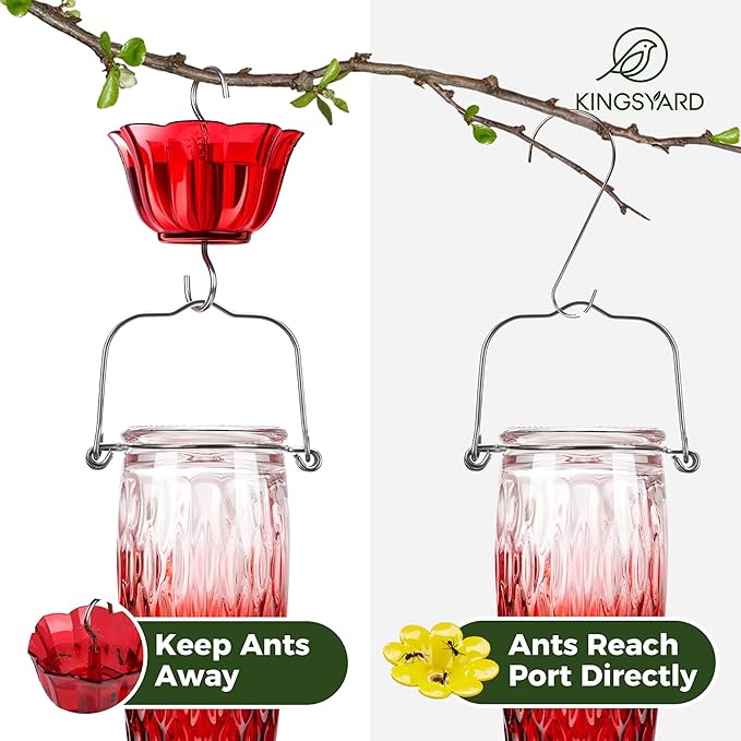 Kingsyard Hummingbird Feeders for Outdoors Hanging, 24 Ounce, Glass Hummingbird Feeder with Ant Moat & 6 Bee Guard Feeding Ports, Leak-Proof, Red Gradient