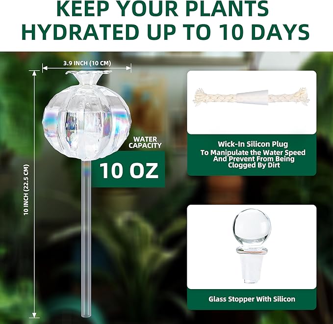 10 oz Large Top Fill Cactus Plant Self Watering Globes, Light Iridescent Glass Water Bulbs, Slow Release Watering Devices System Indoor | Outdoor Everyday Use, Water Spikes Stakes, 2 Pack