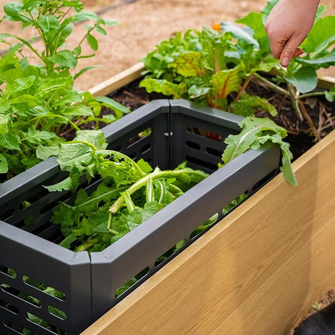 Metal In-Ground Worm Composter, in-Bed Composting Bins for Raised Garden Beds, Outdoor Compost System