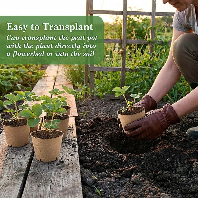 150 Pack Peat Pots for Seedlings 100 4-inch & 50 3.15-inch Round Biodegradable Seed Starter Pots with Drainage Holes for Garden Germination Nursery, Includes 150 Plant Labels & Planting Tools