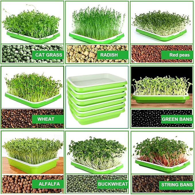SHUESS 6 Pack Seed Sprouting Tray with Drain Holes BPA Free Nursery Tray Microgreens Growing Trays Wheatgrass Grower Sprouting Container Seed Germination Propagation Trays for Garden Home Office