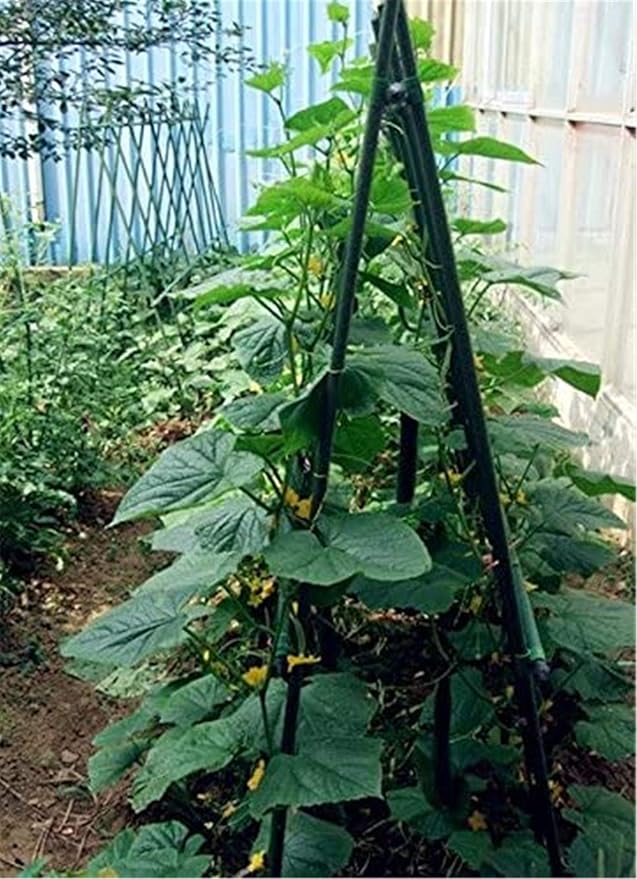 Garden Stakes 30 Inches Steel Plant Stakes Tomato Stakes Pack of 25