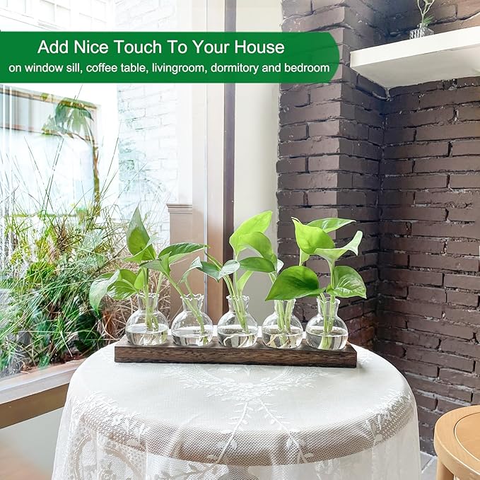 Plant Propagation Station, Plants Terrarium with Wooden Stand 5 Bulb Houseplants Glass Vase for Hydroponic Plants Gift for Plant Lovers Home Office Decor