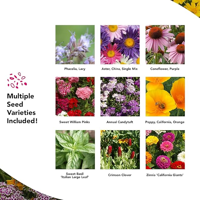 Growtrax Pollinator Wildflower Seed Mix & Sunflower Blend - 40 sq ft - Easy Plant Seeds & Flower Bulbs - Spring Mix, Zinnia, Tulips, Bluebonnet - Attracts Bees, Eden-Like Garden in Sun-Partial Shade
