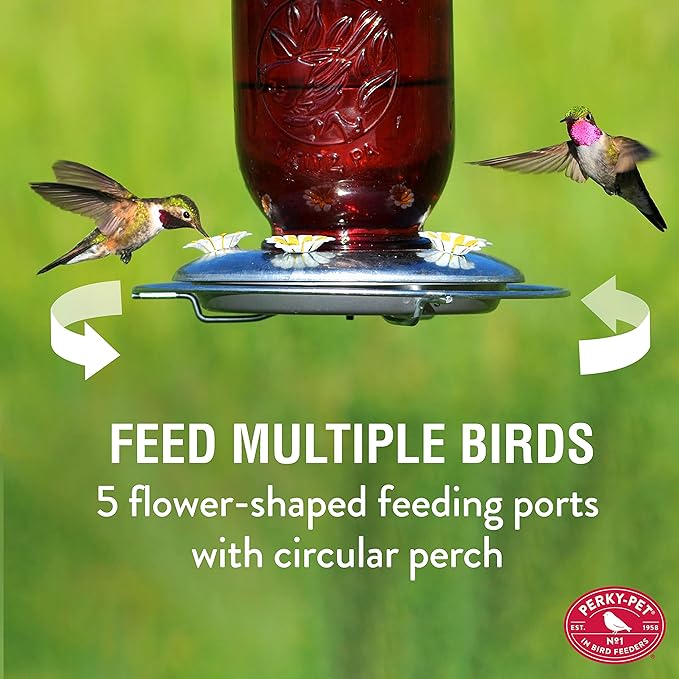 Perky-Pet Red Mason Jar Vintage Glass Hummingbird Feeder - Outdoor Garden Décor - 32-oz capacity, 786-1SR