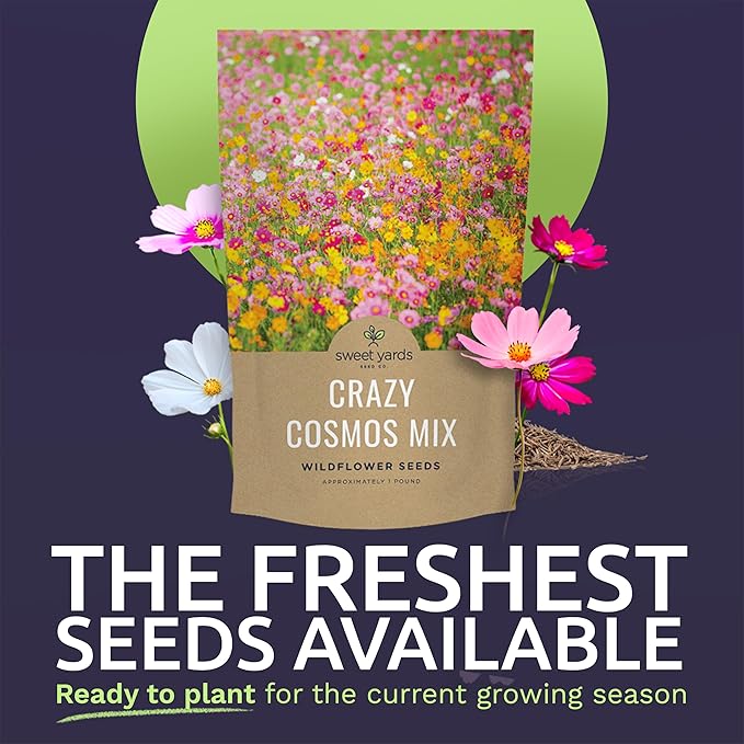 Bulk Cosmos Seeds Wildflower Mixture - 1 Pound Bag - Over 80,000 Seeds - Pink, Yellow, Orange, Red, Purple and White Mixed Species!