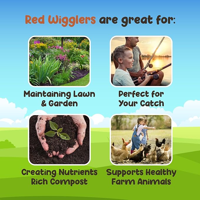 Red Wigglers Composting Worms - 1/2lb Red Worms for Composting - Use on Worm Castings for Plants, Garden, Worm Farm & Compost Starter, Easy to Manage
