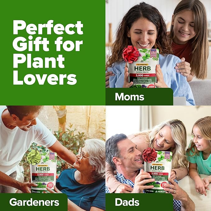 HOME GROWN 10 Herb Seeds for Planting 3,000+ Non-GMO Heirloom Seeds | Extra Large Variety Pack Herb Kit – Indoor Outdoor & Hydroponic | Culinary Seed Set | Grow Your Own Herbs | Gift for Beginners